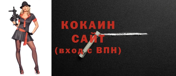 соль ск Гусиноозёрск