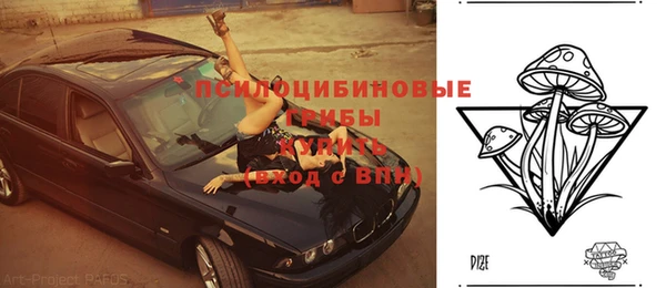 соль ск Гусиноозёрск