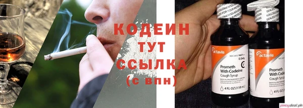 стаф Гусев