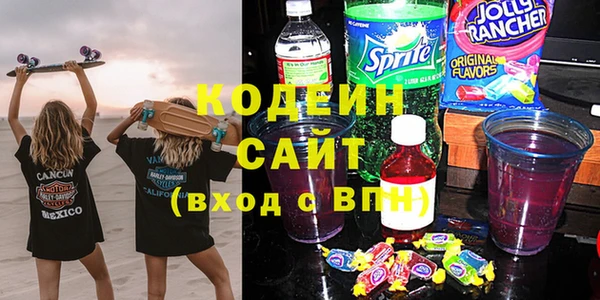стаф Гусев