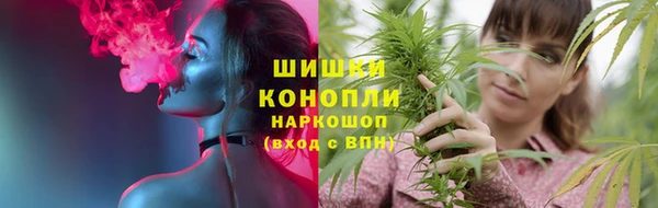 соль ск Гусиноозёрск