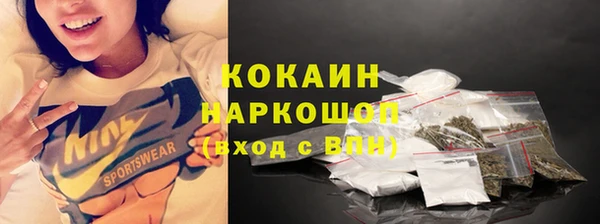 стаф Гусев