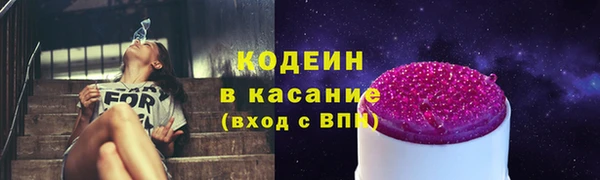 ПСИЛОЦИБИНОВЫЕ ГРИБЫ Гусь-Хрустальный