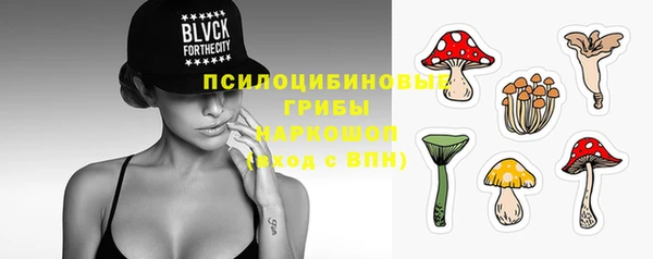 стаф Гусев