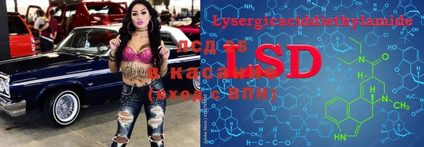 стаф Гусев