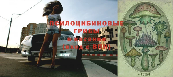 соль ск Гусиноозёрск