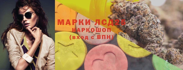 стаф Гусев